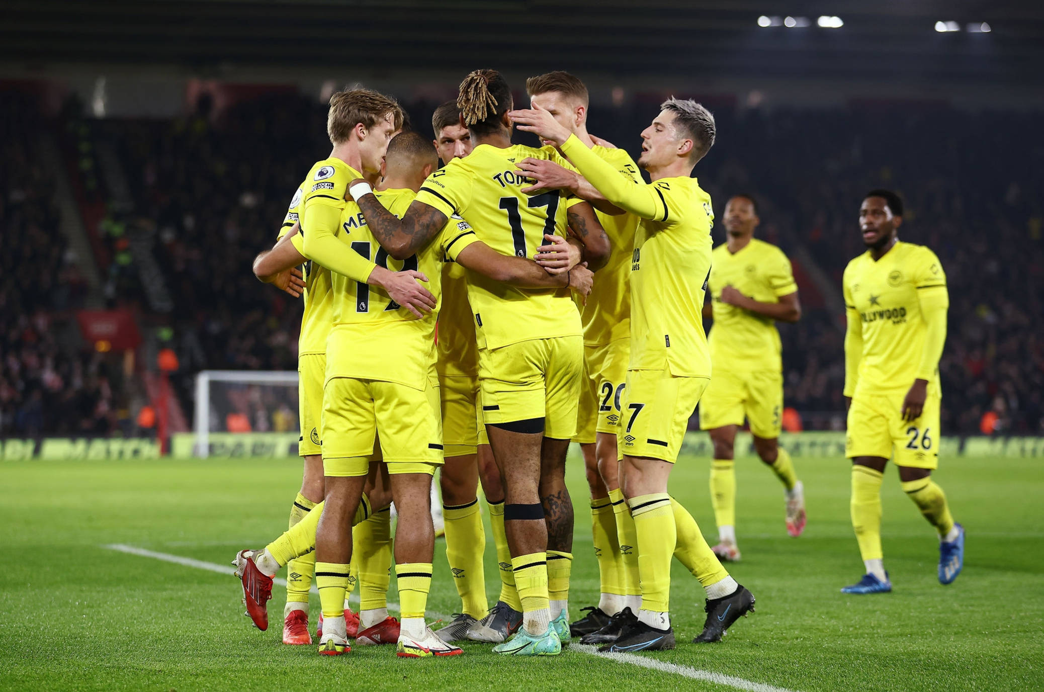 不仅影响比 不仅影响比